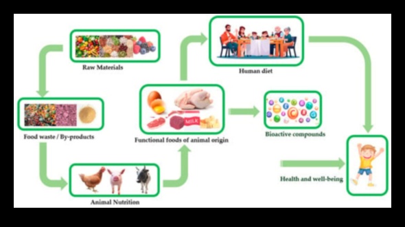 Šūnu harmonija: uztura bioķīmijas un veselības simbioze