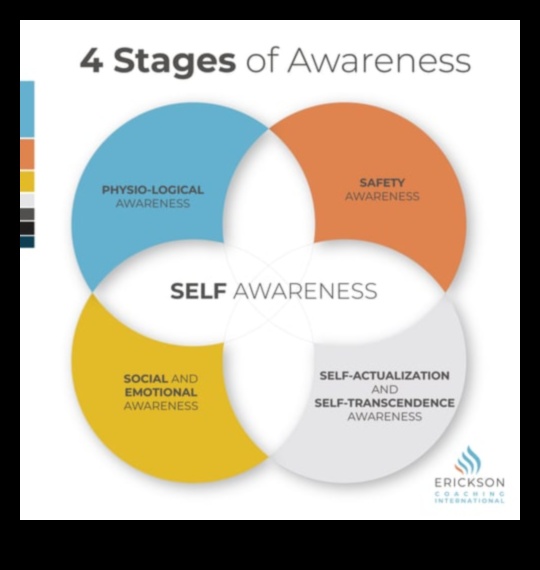 Uzmanīga transcendence: Uzmanības ceļojums