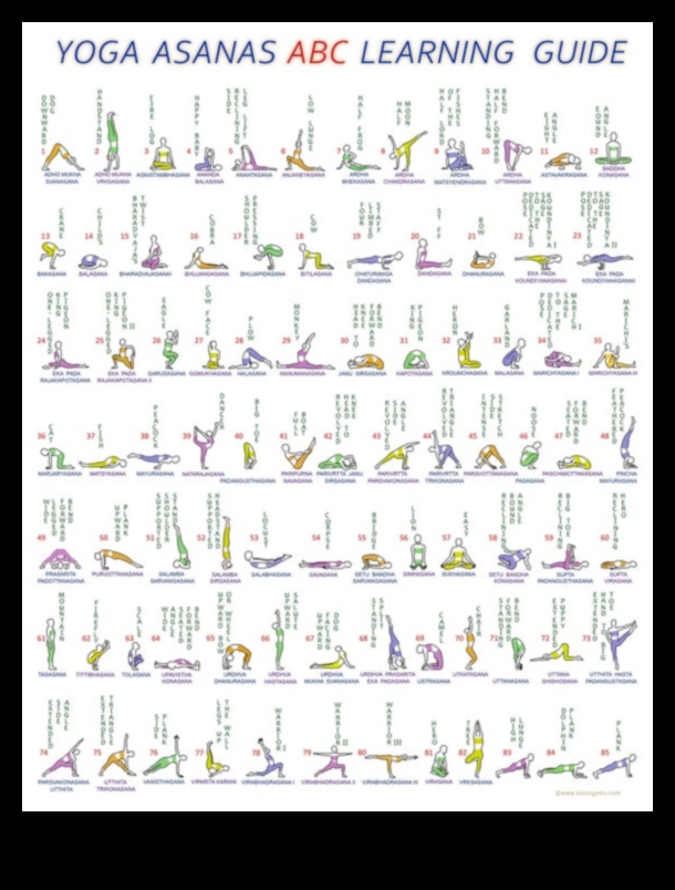 Asana Harmony: navigācija jogas meditācijas praksē