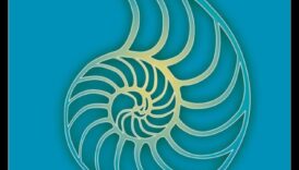 Ceļojums uz iekšu: labākās grāmatas dziļai meditācijas pieredzei