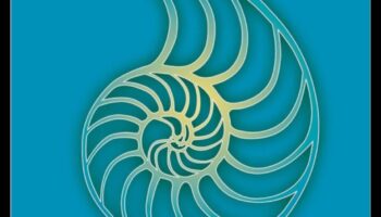 Ceļojums uz iekšu: labākās grāmatas dziļai meditācijas pieredzei