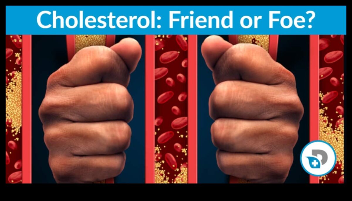 Zema ogļhidrātu satura diētas ietekme uz holesterīna līmeni