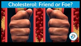 Zema ogļhidrātu satura diētas ietekme uz holesterīna līmeni