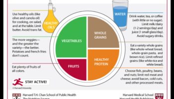 Politikas plāksnes: Sabiedrības veselības uztura veicināšana darbībā