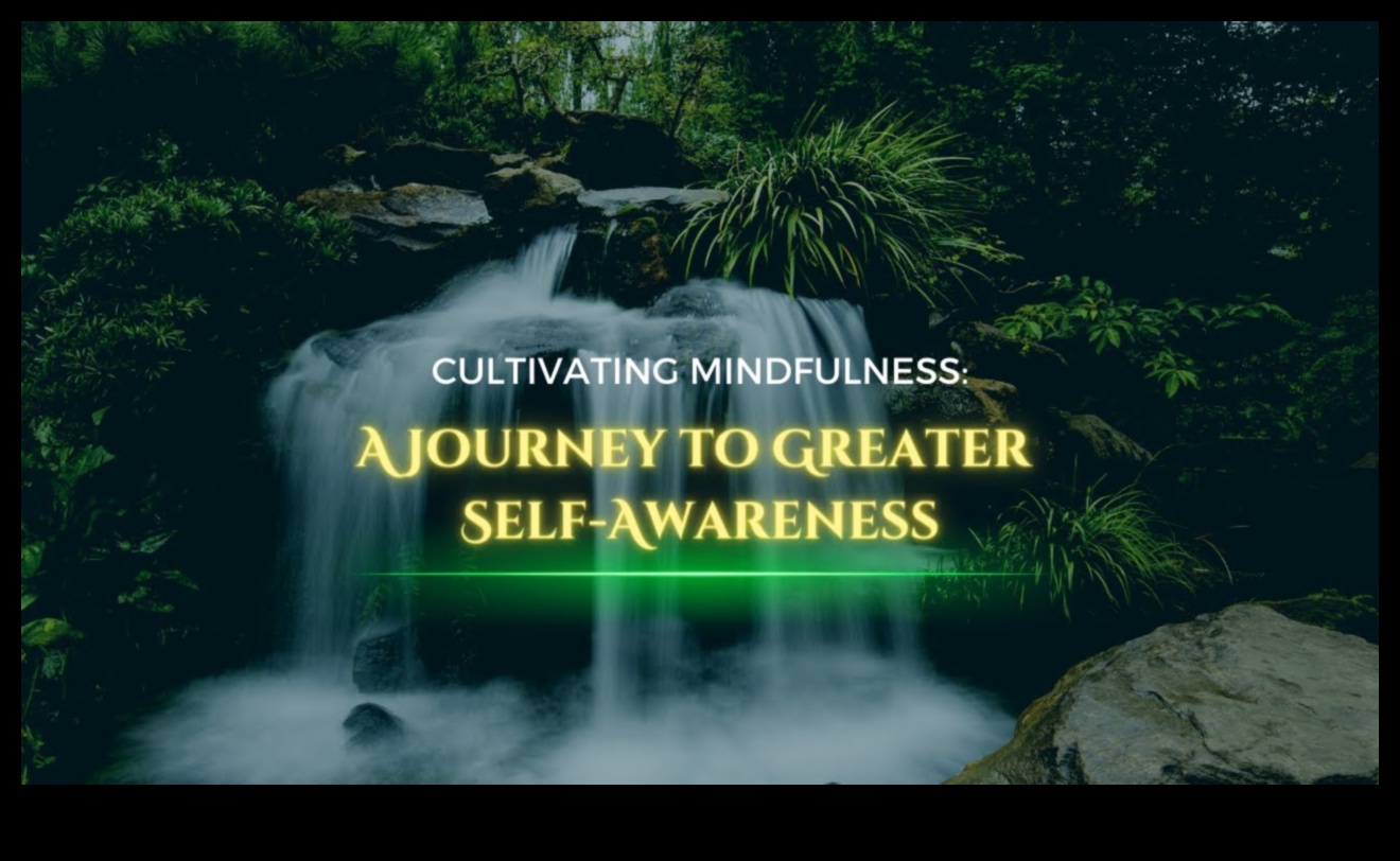 Uzmanīga transcendence: Uzmanības ceļojums