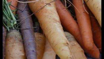 Vegānisms un apzināta ēšana: baudiet mirkli